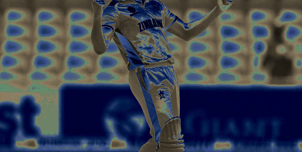 The Empty Cell: When Cricket's Data Goes Missing and the Analysis Still Looks Finished The Empty Cell: When Cricket's Data Goes Missing and the Analysis Still Looks Finished
