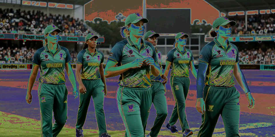 The Blank Field: The Half of Cricket That Never Reaches the Scraper The Blank Field: The Half of Cricket That Never Reaches the Scraper